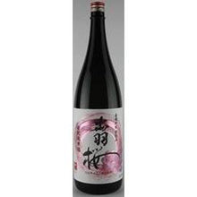 Load image into Gallery viewer, Dewazakura Sake Brewery Dewazakura Dewanosato Special Pure Rice Sake &quot;Kami (SIN)&quot; 720ml [Planned by Shinshuren]
